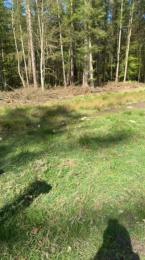 Zeigegeiler69 — 在 cam4 直播的网络摄像头模特