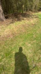 Zeigegeiler69 — 在 cam4 直播的网络摄像头模特