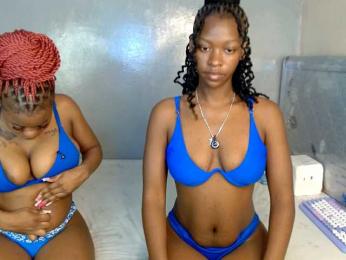 Royal309 — bongacams