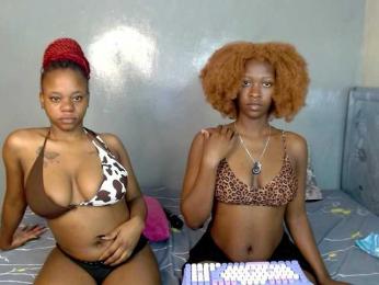 Royal309 — bongacams