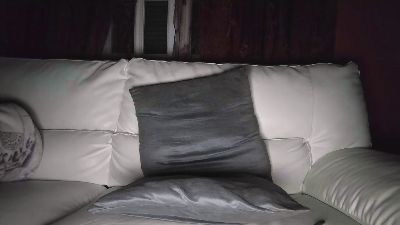 Renezelwegher24 — Cam4 stream photo (Mar 2026)