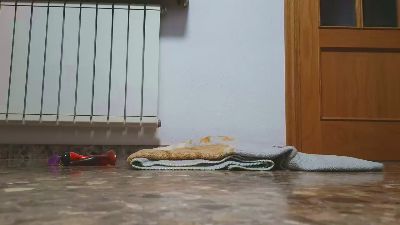 sebaxxxxxx2 — Cam4 stream photo (Feb 2026)