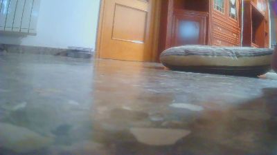 sebaxxxxxx2 — Cam4 stream photo (Aug 2025)