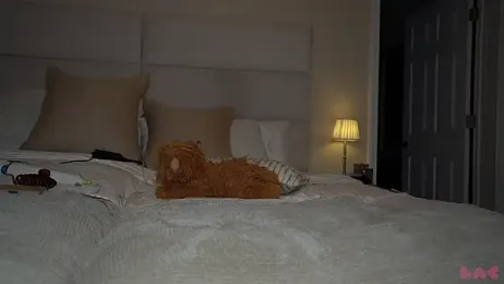 baedot — Stripchat stream photo (Feb 2026)