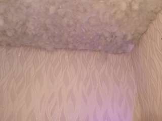 begoniia — Camsoda recorded stream image, 28.05.2025 03:00
