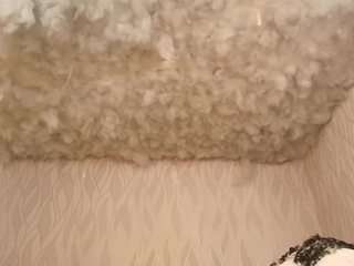 begoniia — Camsoda recorded stream image, 01.06.2025 03:00