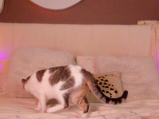 Mia Brooklyn — Flirt4free recorded stream screenshot (10 Jun 2025)