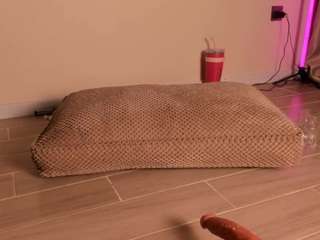 sugar-mirie — Camsoda recorded stream image, 10.02.2025 12:10