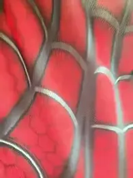 Hoot-Anime- — Stripchat recorded stream screenshot (20 Jun 2025)