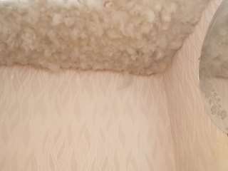 begoniia — Camsoda recorded stream image, 21.06.2025 03:10