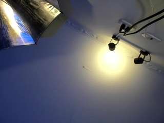 apotheosiss — Camsoda recorded stream image, 26.06.2025 08:40