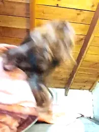 mariamac420 — Stripchat recorded stream screenshot (06 Jul 2025)