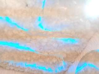 begoniia — Camsoda recorded stream image, 12.02.2025 07:50