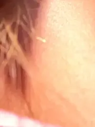 Liza_risky — Stripchat recorded stream image, 17.07.2025 08:00