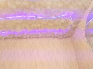 begoniia — Camsoda recorded stream image, 13.02.2025 03:20