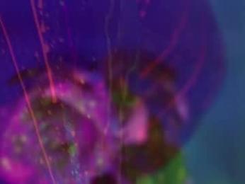 heybanan — Chaturbate recorded stream screenshot (13 Feb 2025)