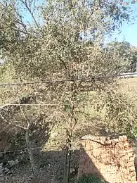 COUPLLE_VILLAGE — Stripchat recorded stream image, 14.02.2025 03:30