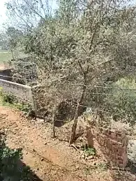 COUPLLE_VILLAGE — Stripchat recorded stream image, 14.02.2025 03:30