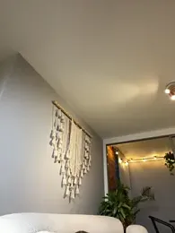 Irish_Collins — Stripchat recorded stream image, 15.08.2025 21:50