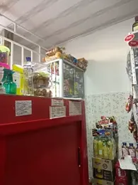 Sara_fun — Stripchat recorded stream screenshot (19 Aug 2025)