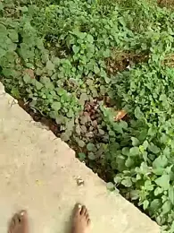 COUPLLE_VILLAGE — Stripchat recorded stream image, 02.09.2025 02:20