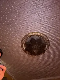 ORLA86 — Stripchat recorded stream screenshot (01 Sep 2025)