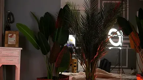 KellyMathews — Stripchat recorded stream image, 02.09.2025 02:00