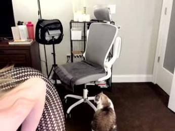 eve003300 — Chaturbate recorded stream image, 08.09.2025 22:10