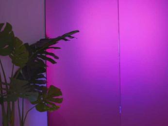 NatyDesiree — Bongacams recorded stream image, 16.02.2025 04:40