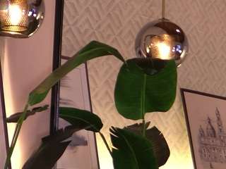 ellediane — Camsoda recorded stream image, 11.09.2025 22:40