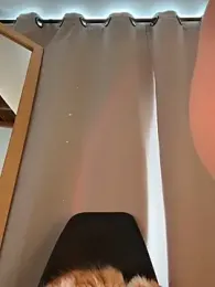 curchez_ — Stripchat recorded stream image, 16.09.2025 19:50