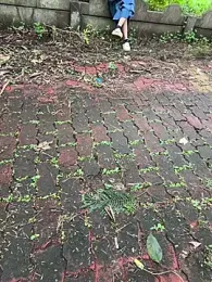 Miss__Malaika — Stripchat recorded stream image, 22.09.2025 07:00