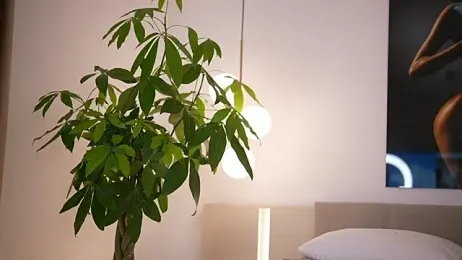 DoviaClaire — Stripchat recorded stream image, 22.09.2025 06:00
