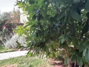 patry333 — Chaturbate recorded stream screenshot (24 Sep 2025)