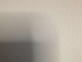 t1ger — Camsoda recorded stream screenshot (18 Feb 2025)