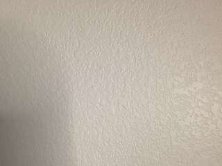 t1ger — Camsoda recorded stream screenshot (18 Feb 2025)