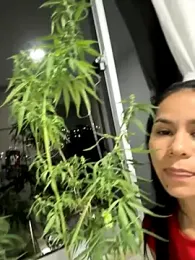 dominantandsubmissiveshow — Stripchat recorded stream image, 29.09.2025 22:20