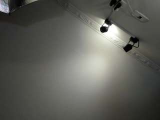 apotheosiss — Camsoda recorded stream image, 19.02.2025 04:50