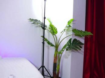 NatyDesiree — Bongacams recorded stream image, 09.10.2025 09:00