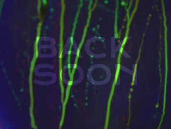 heybanan — Chaturbate recorded stream screenshot (20 Feb 2025)