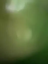 MileySummer — Stripchat recorded stream image, 19.10.2025 11:30