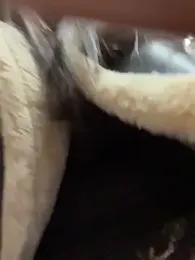 Chloe__Moon — Stripchat recorded stream screenshot (26 Oct 2025)