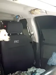 SheIsSomething — Stripchat recorded stream image, 01.11.2025 01:40