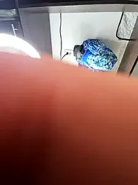 big_pusyy — Stripchat recorded stream image, 06.11.2025 19:10
