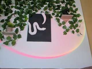 nataliepeterson — Camsoda recorded stream image, 23.02.2025 04:00