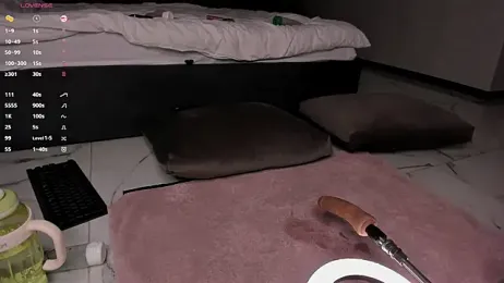 Devil_Minds — Stripchat recorded stream image, 09.11.2025 03:00