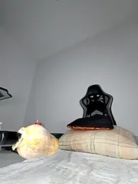 big_pusyy — Stripchat recorded stream image, 10.11.2025 17:00