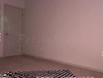 petitebrat — Chaturbate recorded stream screenshot (16 Nov 2025)