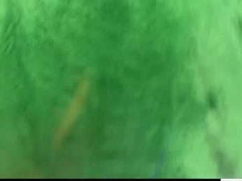 laurenbrite — Chaturbate recorded stream screenshot (30 Nov 2025)