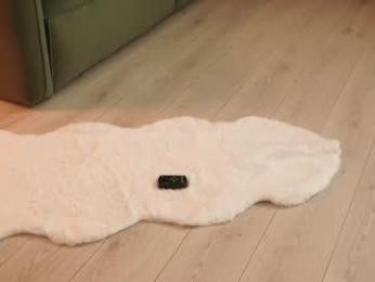 _meganmeow_ — Chaturbate recorded stream screenshot (05 Dec 2025)